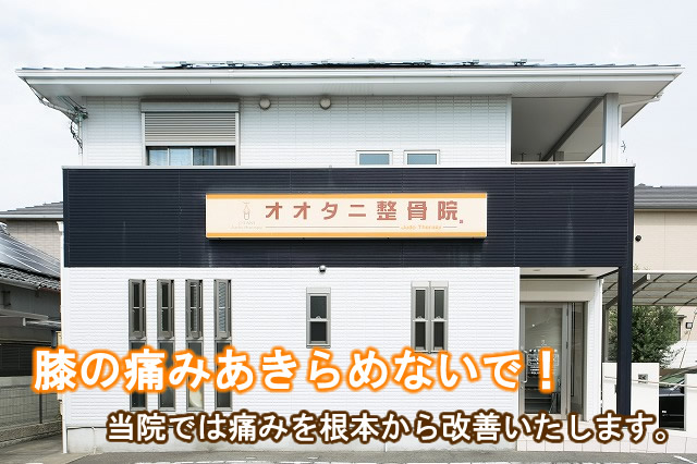 コロナ 者 市 泉南 感染