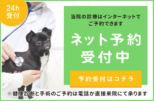 ひろい動物病院